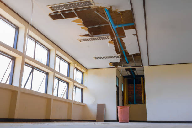 Best Water damage restoration near me  in Carrington, ND