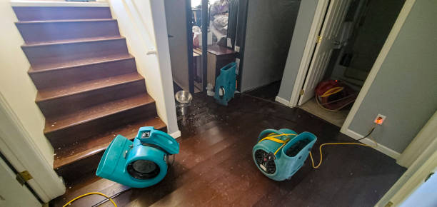 Trusted Carrington, ND Water damage restoration Experts