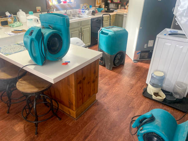 Best Ceiling water damage repair  in Carrington, ND