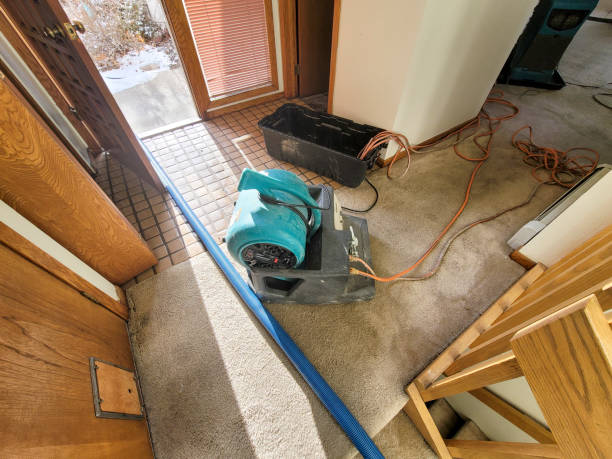 Best Water damage contractors near me  in Carrington, ND