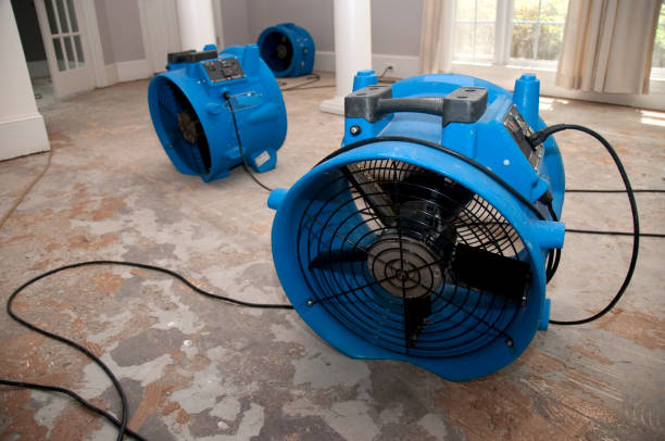 Best Fire Damage Restoration  in Carrington, ND