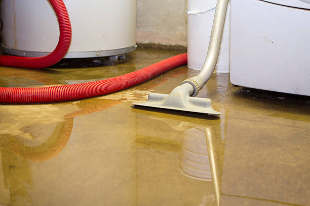 Best Flood restoration services  in Carrington, ND