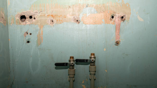 Best Commercial water damage restoration  in Carrington, ND