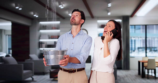 Best Fire Damage Restoration  in Carrington, ND