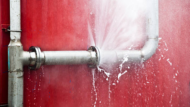 Best Professional water damage repair  in Carrington, ND